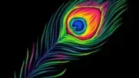 Main Banner Image 1